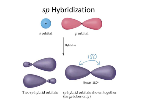 sp hybridization